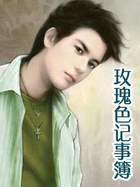 玫瑰色记事簿
